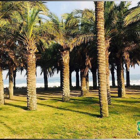 Palmeras Del Golf - Torrequebrada Benalmádena Cameră foto